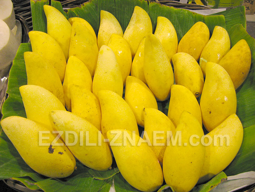 На фото: фрукты манго, Тайланд