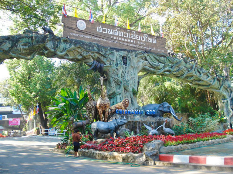 Панды в Таиланде: как панда зарабатывает в зоопарке Чианг Май – 2024 ...