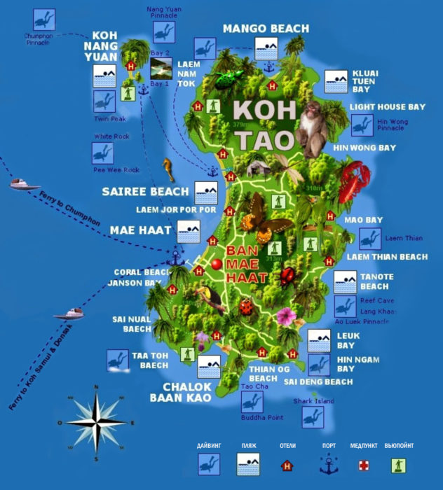 Карта острова Тао в Таиланде