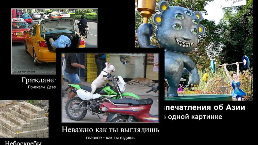 Подборка демотиваторов и забавных фоток из путешествий