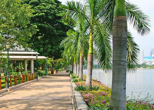 Парки Бангкока: пруд в Бенжакити парке