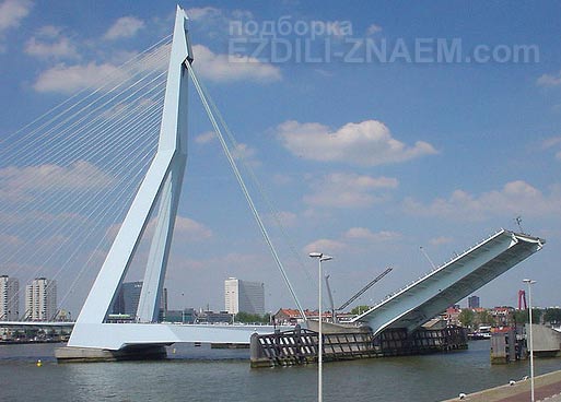 Самые необычные мосты мира: мост Эразмус в Роттердаме