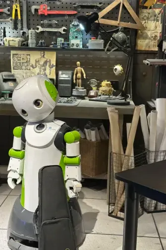 Домашние роботы будущего