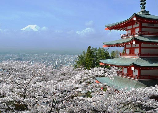 Фудзияма на фоне пагоды и цветущей сакуры в Японии