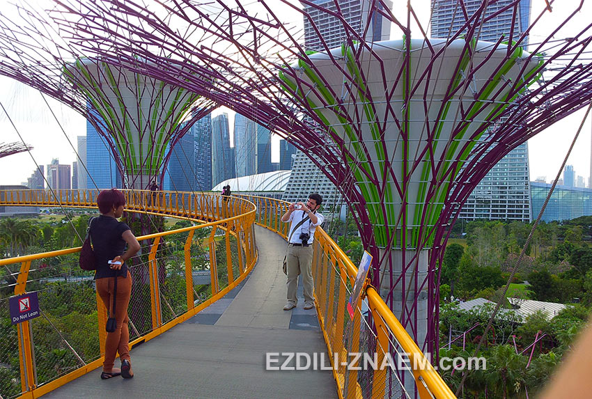 туристы любят фотографироваться на мосту SkyWay в "Парке у Залива". Сингапур