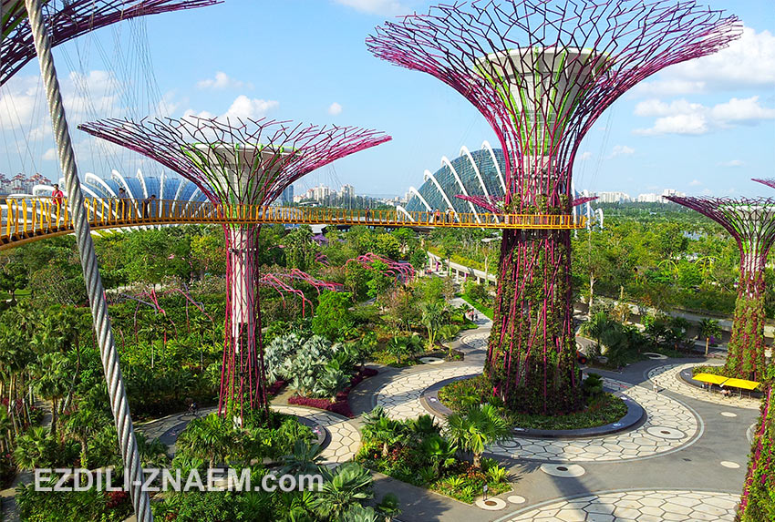 футуристические супер деревья в "Парке у Залива" в Сингапуре