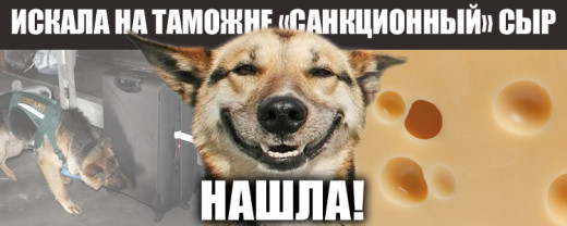 Ввоз санкционных продуктов - можно или нельзя?