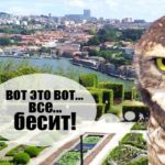 Почему Европа бесит