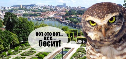 Почему Европа бесит