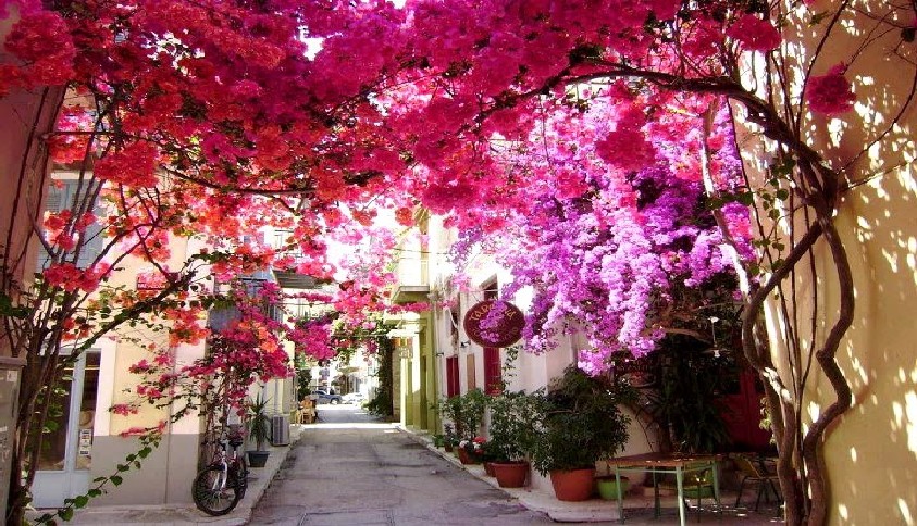 Нафплион - город на полуострове Пелопоннес, один из самых живописных в Греции
