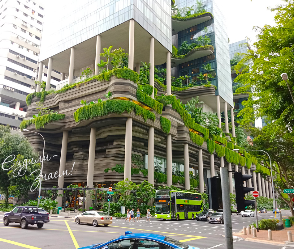 Дома в Сингапуре - современные с внутренними садами