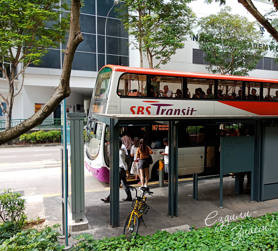 Общественный транспорт Сингапура. На фото двухэтажный автобус