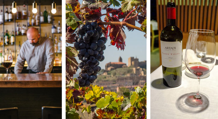 Вина Испании - как выбирать вино