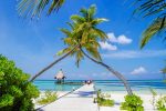 Как поехать на Мальдивы недорого: 7 лучших отелей для отдыха на Мальдивах вдвоем
