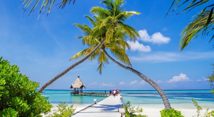 Как недорого поехать на Мальдивы