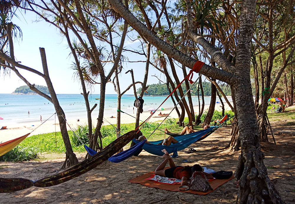 Гамаки в мангровых деревьях на пляже Ката