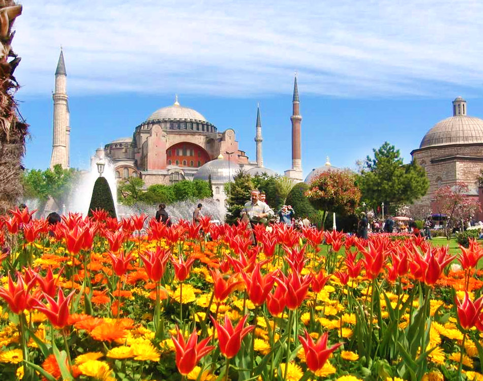 Тюльпаны в Стамбуле: парк Султанахмет перед Голубой мечетью