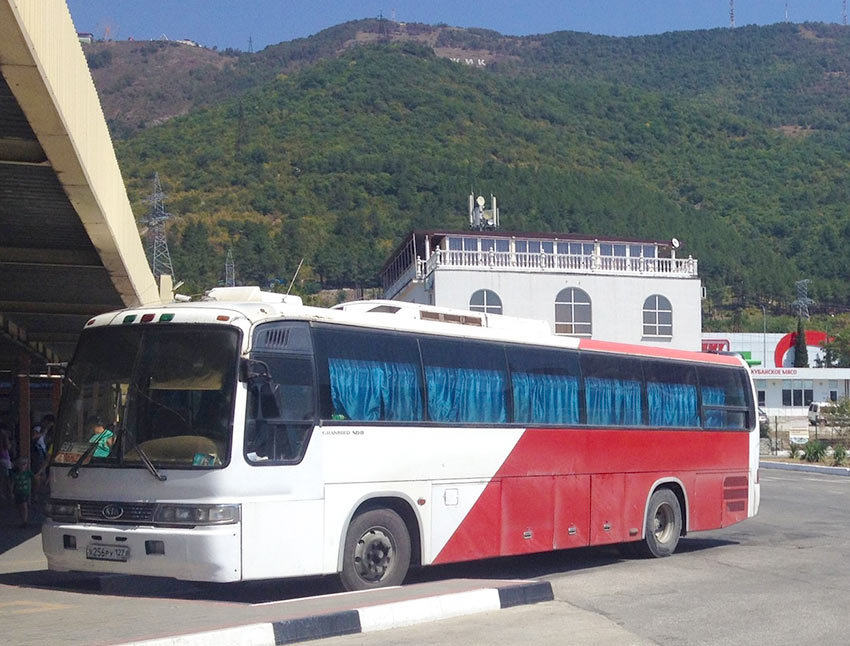 Автобус на автовокзале в Геленджике