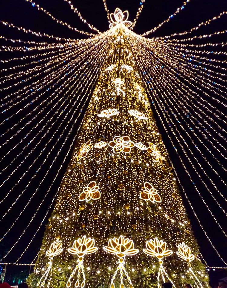 Новогодняя елка в Сочи