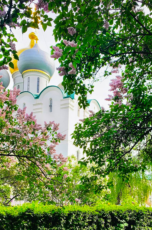 Новодевичий монастырь, май