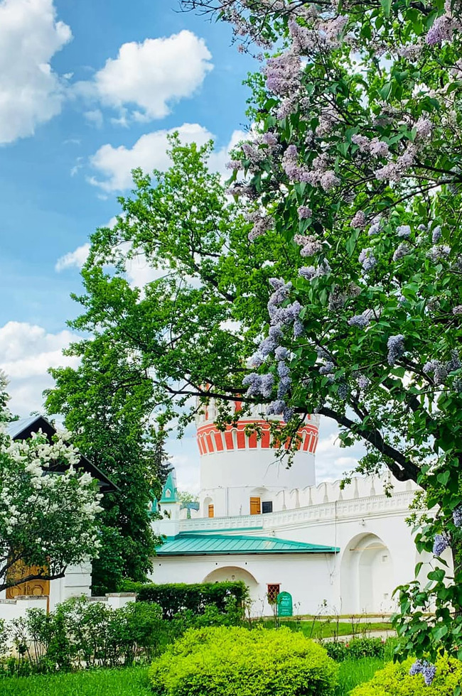 Парк Новодевичего монастыря