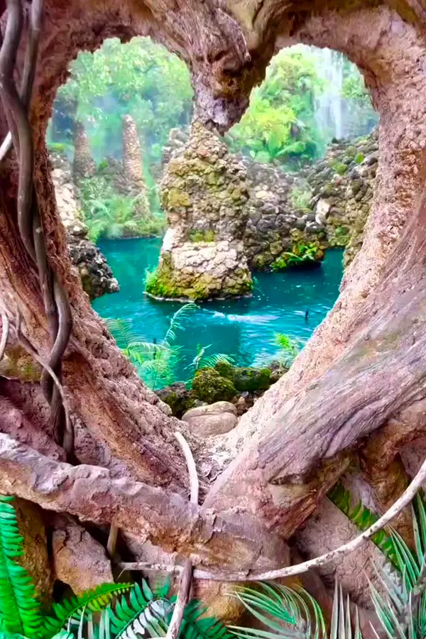 Dantewada Land of Angels Waterfall Park - парк недалеко от ЧиангМая