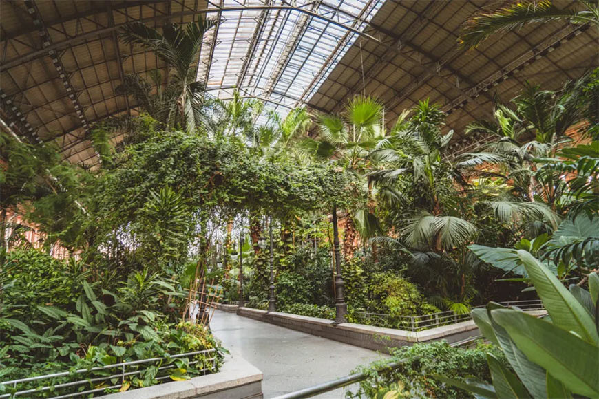 тропический сад вокзала Аточа, Мадрид