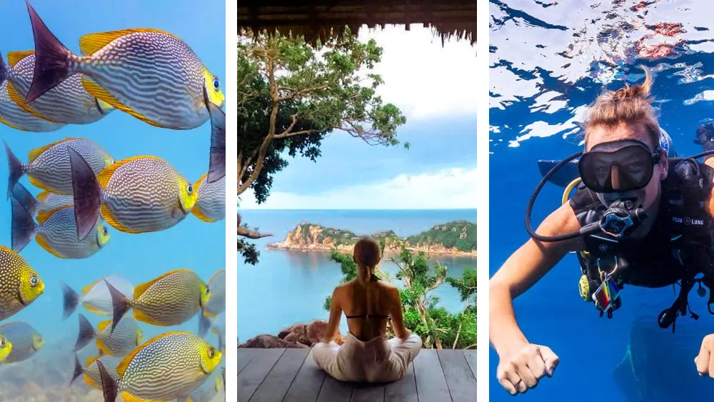 Остров Тао в Таиланде