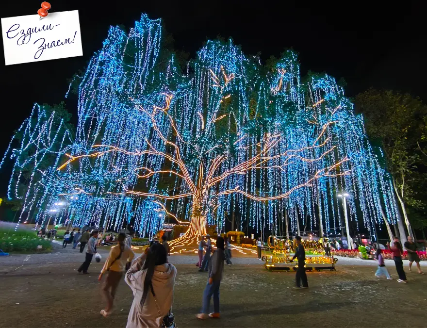 Подсветка Дерева Аватар на фестивале цветов в Чианг Мая