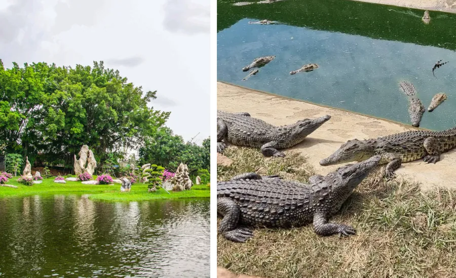 Билеты на Крокодиловую Ферму в Паттайе