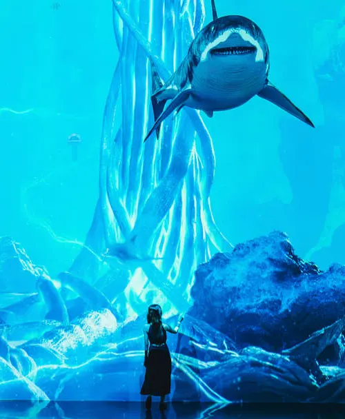 Виртуальная арт галерея в Паттайе с проекциями и лазерным шоу