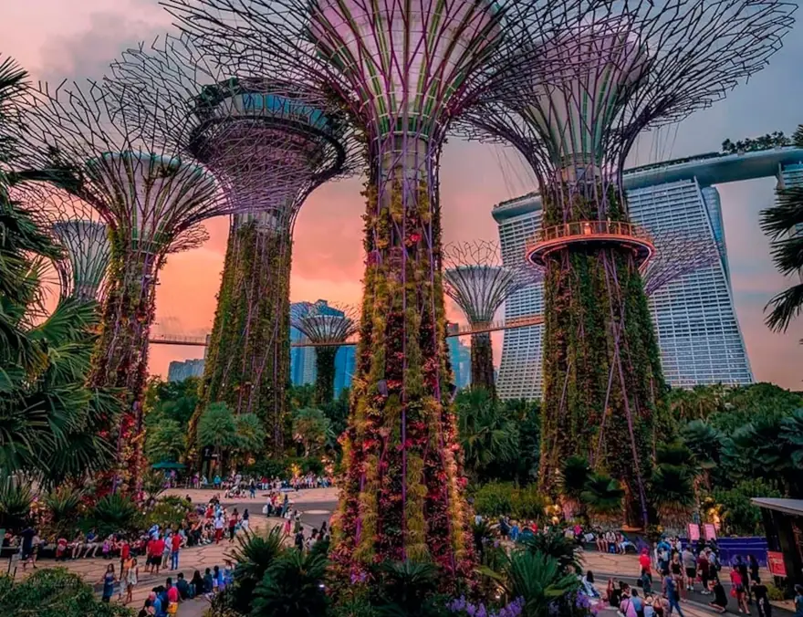 Экскурсия Сады Аватара в Сингапуре