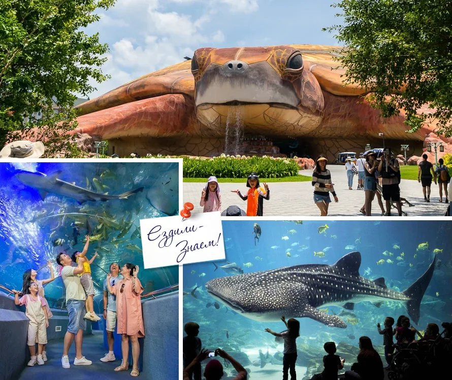 Океанариум на Фукуоке, огромная черепаха на входе