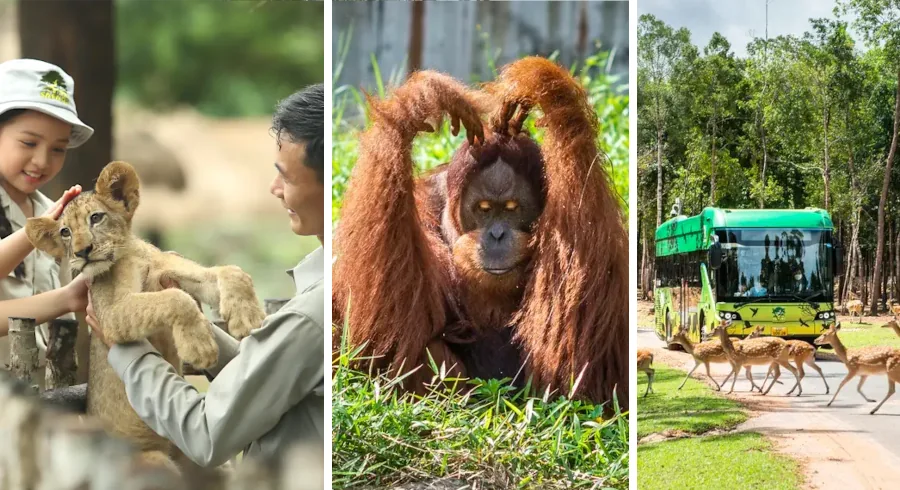 Сафари парк на Фукуоке