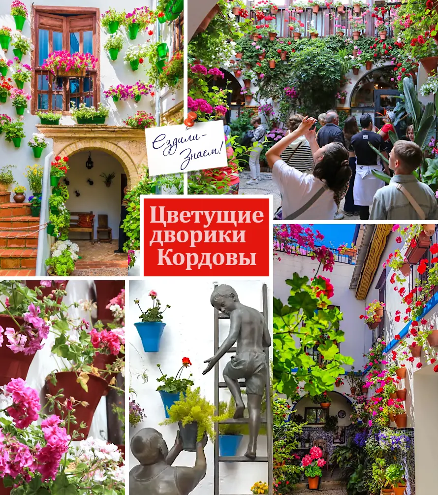 Фестиваль: цветущие дворики Кордовы